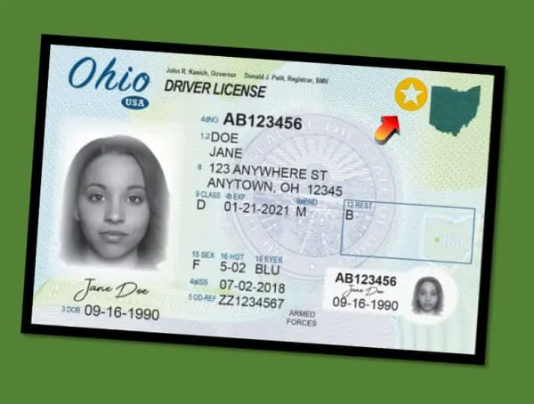 Driver License